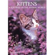 Kittens by Schneck, Marcus, 9781597641296
