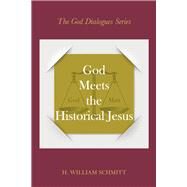 God Meets the Historical Jesus A Dialogue with Almighty God and Jesus by Schmitt, H. William, 9798350911299