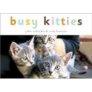 Busy Kitties by Schindel, John; Franzen, Sean, 9781582461304