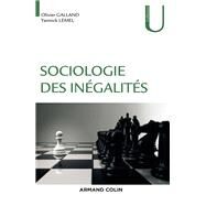 Sociologie des ingalits by Olivier Galland; Yannick Lemel, 9782200621308