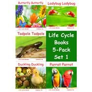 Life Cycle Books Set by Ho, Cammie, 9781943241309