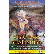 Visionary Shamanism by Wolf, Linda Star; Dillon, Anne, 9781591431312
