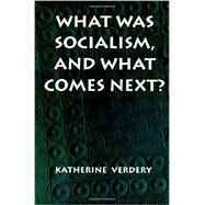 What Was Socialism, and What Comes Next? by Verdery, Katherine, 9780691011325