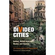 Divided Cities by Calame, Jon; Charlesworth, Esther; Woods, Lebbeus, 9780812241341