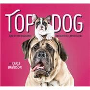 Top Dog And Other Doggone Delightful Expressions by Davidson, Carli, 9781452151342