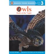 Owls Birds of the Night by Sollinger, Emily; Rallis, Chris, 9780448481357