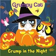 Grump in the Night (Grumpy Cat) by Sisler, Celeste; Laberis, Steph, 9781984851376
