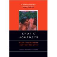 Erotic Journeys by Gonzalez-Lopez, Gloria, 9780520231399