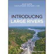 Introducing Large Rivers by Gupta, Avijit; Slaymaker, Olav; Junk, Wolfgang J., 9781118451403