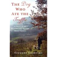 The Dog Who Ate the Truffle A Memoir of Stories and Recipes from Umbria by Carreiro, Suzanne, 9780312571405