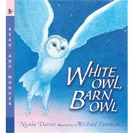 White Owl, Barn Owl Read and Wonder by Davies, Nicola; Foreman, Michael, 9780763641436