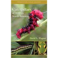 Caterpillars Of Eastern North America by Wagner, David L., 9780691121444