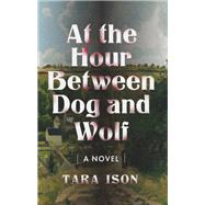 At the Hour Between Dog and Wolf by Tara Ison, 9781632461452