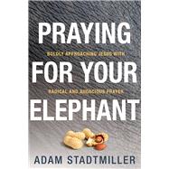 Praying for Your Elephant Boldly Approaching Jesus with Radical and Audacious Prayer by Stadtmiller, Adam, 9780781411455