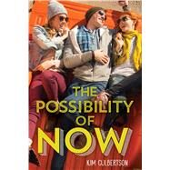 The Possibility of Now by Culbertson, Kim, 9780545731461