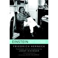 Einstein at Home by HERNECK, FRIEDRICHEISINGER, JOSEF, 9781633881464