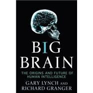 Big Brain : The Origins and Future of Human Intelligence by Lynch, Gary; Granger, Richard, 9780230611467