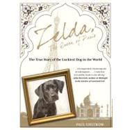 Zelda, The Queen of Paris The True Story of the Luckiest Dog in the World by Chutkow, Paul, 9780762771479