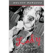Lady : My Life as a Bitch by Burgess, Melvin, 9780805071481