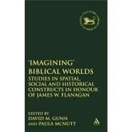 'Imagining' Biblical Worlds Studies in Spatial, Social and Historical Constructs in Honour of James W. Flanagan by Gunn, David M.; McNutt, Paula, 9780826461490