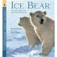 Ice Bear Read and Wonder: In the Steps of the Polar Bear by Davies, Nicola; Blythe, Gary, 9780763641498