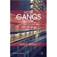 How Gangs Work An Ethnography of Youth Violence by Densley, James, 9781137271501