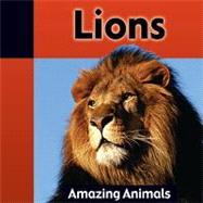 Lions by Dineen, Jacqueline, 9781605961507