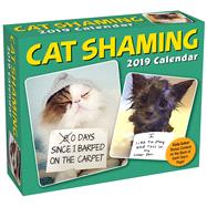 Cat Shaming 2019 Day-to-Day Calendar by Andrade, Pedro, 9781449491512