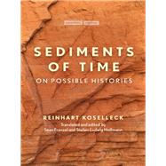 Sediments of Time by Koselleck, Reinhart; Franzel, Sean; Hoffmann, Stefan-ludwig, 9781503601512
