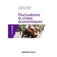 Fluctuations et crises conomiques by Vincent Barou; Benjamin Ting, 9782200611521