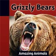 Grizzly Bears by Dineen, Jacqueline, 9781605961583