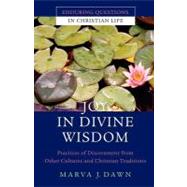 Joy in Divine Wisdom : Practices of Discernment from Other Cultures and Christian Traditions by Marva J. Dawn, 9780470491584