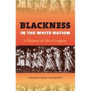 Blackness in the White Nation by Andrews, George Reid, 9780807871584