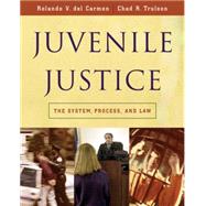 Juvenile Justice The System, Process and Law by del Carmen, Rolando V.; Trulson, Chad R., 9780534521585