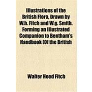 Illustrations of the British Flora, Drawn by W.h. Fitch and W.g+b964. Smith by Hood Fitch, Walter; Smith, Worthington George, 9781154601596