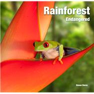 Rainforest by Dures, Simon, 9781839641596