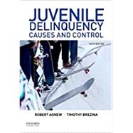 Juvenile Delinquency Causes and Control by Agnew, Robert; Brezina, Timothy, 9780190641610
