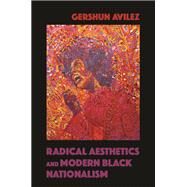 Radical Aesthetics and Modern Black Nationalism by Avilez, Gershun, 9780252081613