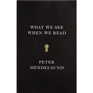 What We See When We Read by Mendelsund, Peter, 9780804171632