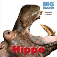 Hippo by Turnbull, Stephanie, 9781625881656
