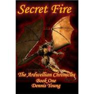 Secret Fire by Young, Dennis, 9781484811658