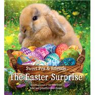 The Easter Surprise by Churchman, Jennifer; Churchman, John, 9780316411660