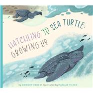 Hatchling to Sea Turtle: Growing Up by Heos, Bridget; Vilter, Natalie, 9798896851660