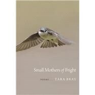 Small Mothers of Fright by Bray, Tara, 9780807161661
