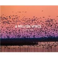 A Million Wings by Schadt, Susan; Buser, Lisa; Love, Davis, III, 9780615681672