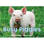 Busy Piggies by Schindel, John; Holt, Steven, 9781582461694