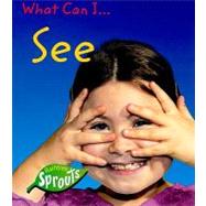 What Can I See by Barraclough, Sue, 9781410921710