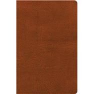 CSB Large Print Personal Size Reference Bible, Digital Study Edition, Burnt Sienna LeatherTouch by CSB Bibles by Holman, 9798384501725