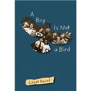 A Boy Is Not a Bird by Ravel, Edeet, 9781773061740
