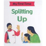 Splitting Up by Petty, Kate; Kopper, Lisa; Pipe, Jim, 9781596041745
